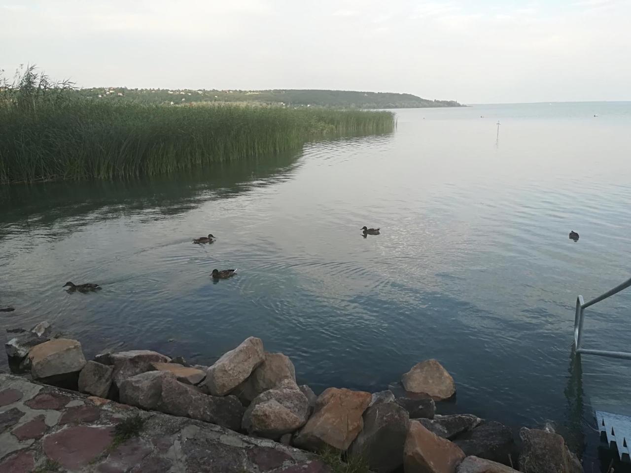 Betty Apartman Balatonfůzfő Eksteriør bilde